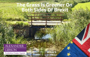 The Grass Is Greener On Both Sides Of Brexit