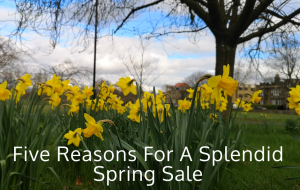 Five Reasons For A Splendid Spring Sale
